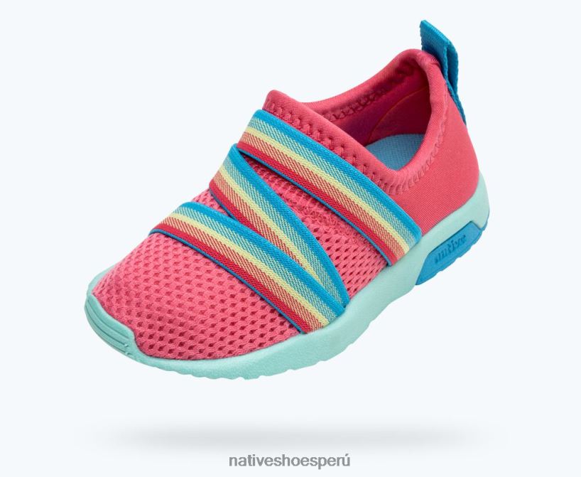educacion fisica Native Shoes niños azúcar fénix rosa deslumbrante/azul hortensia/azul maría HV64F8193 calzado