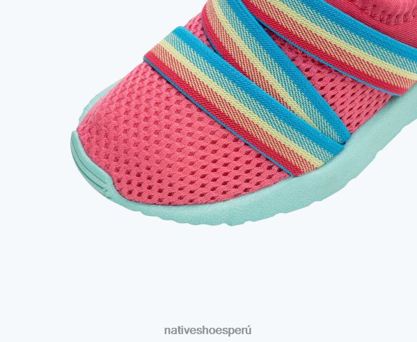 educacion fisica Native Shoes niños azúcar fénix rosa deslumbrante/azul hortensia/azul maría HV64F8193 calzado