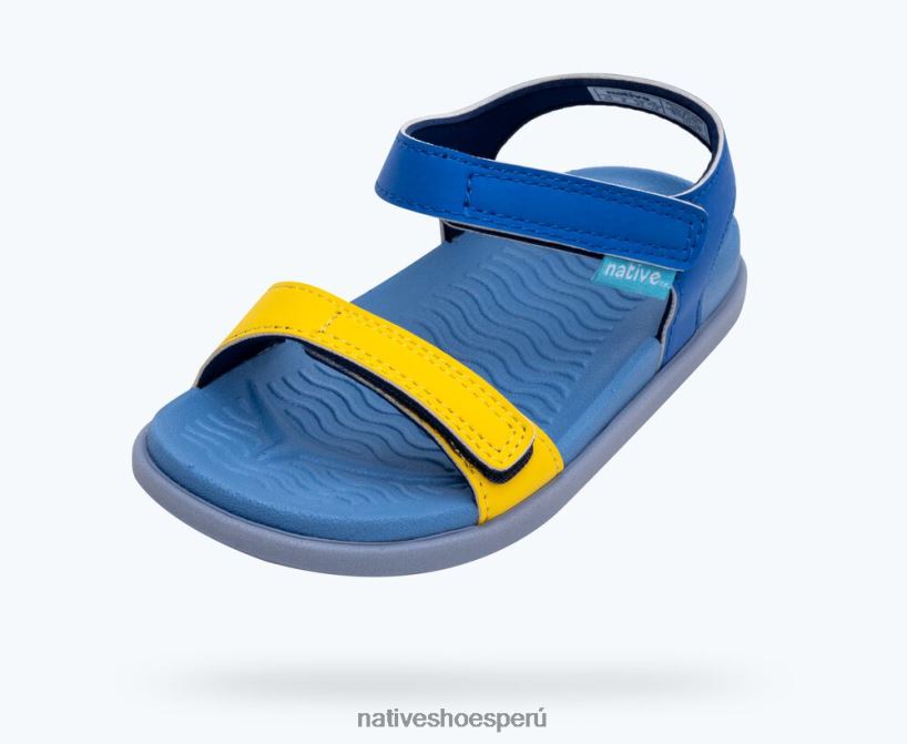 educacion fisica Native Shoes niños bloque charley sugarlite Fresia ultravioleta/azul en reposo/azul Alaska HV64F883 calzado