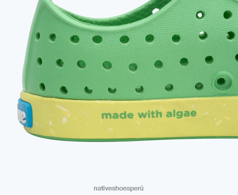 educacion fisica Native Shoes niños flor de jefferson verde caramelo/ verde apio/ motas de concha HV64F8180 calzado