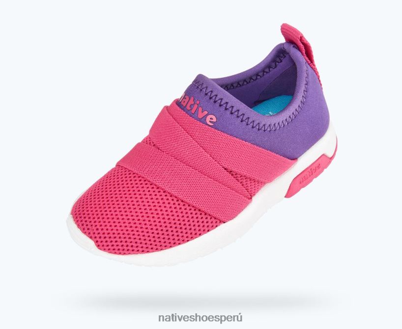 educacion fisica Native Shoes niños fénix estrella de mar violeta/rosa hollywood/blanco concha HV64F8202 calzado