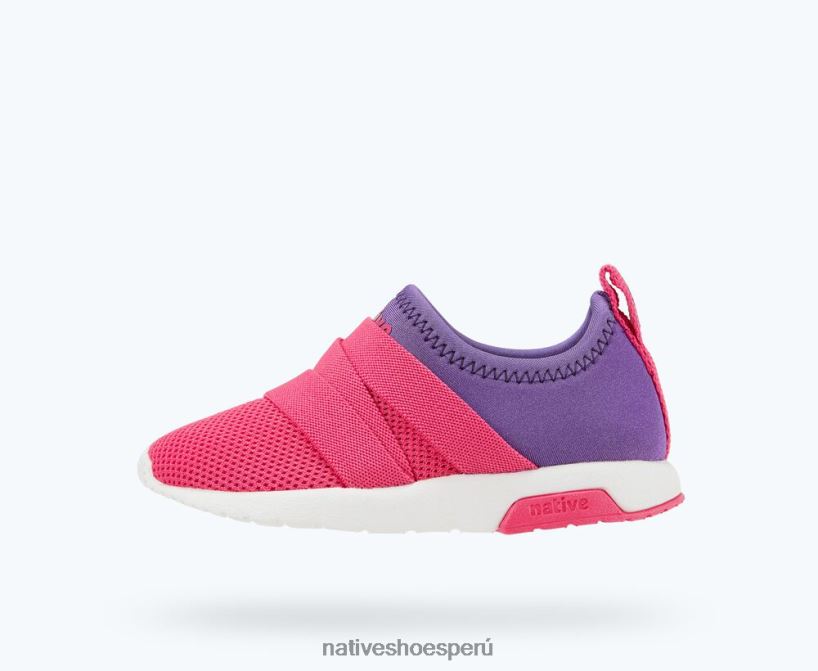 educacion fisica Native Shoes niños fénix estrella de mar violeta/rosa hollywood/blanco concha HV64F8202 calzado