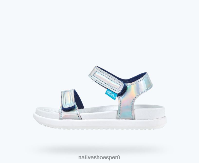 holograma/ concha blanca