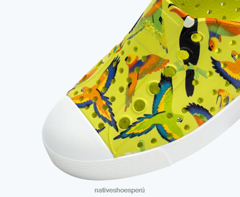 educacion fisica Native Shoes niños impresión sugarlite jefferson verde apio/ blanco concha/ pájaros tropicales uv HV64F8172 calzado