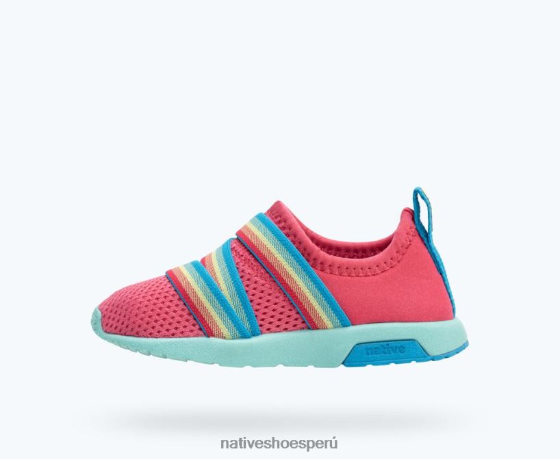 educacion fisica Native Shoes niños azúcar fénix rosa deslumbrante/azul hortensia/azul maría HV64F8193 calzado